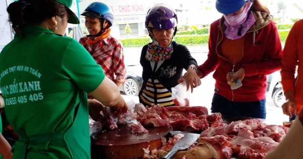 Nuôi heo sạch, không lo đầu ra: Tự tin với 'công nghệ lạnh'