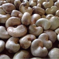 Phòng tránh độc tố tự nhiên trong thực phẩm