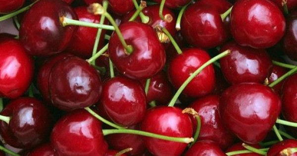 Việt Nam cho phép quả cherry Úc thâm nhập thị trường