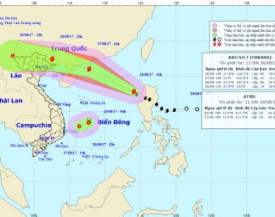 Khẩn trương ứng phó bão số 7 và áp thấp nhiệt đới trên biển Đông