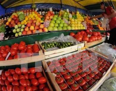 Thực phẩm an toàn và người tiêu dùng thông thái: Bài 1 - Nguy cơ từ thực phẩm “bẩn”
