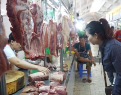 Người nuôi heo khóc ròng vì 'vạ lây' vụ tiêm thuốc