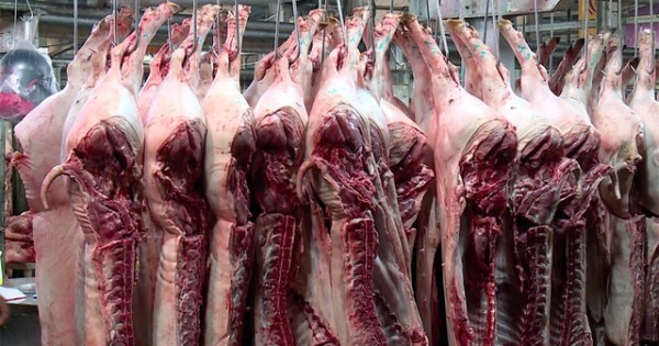 TP Hồ Chí Minh: Cấm bán thịt lợn thiếu thông tin truy xuất nguồn gốc