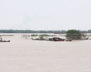 Sông Hồng mùa nước nổi