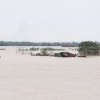 Sông Hồng mùa nước nổi