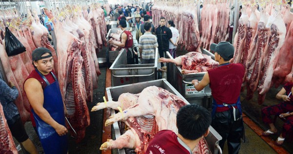 TP Hồ Chí Minh: Chợ đầu mối “thất thủ” bởi thịt lợn “bẩn” quá nhiều!