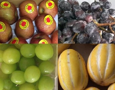 Ăn chảnh hàng ngoại: Tranh mua táo héo, nho rụng, dưa sứt vỏ
