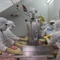 Hướng dẫn Doanh nghiệp về phí bảo vệ môi trường đối với nước thải