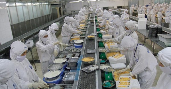 HVG tiếp tục mất điểm vì lỗ nặng