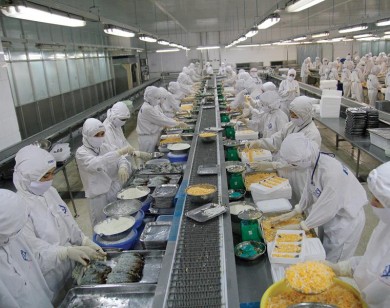 HVG tiếp tục mất điểm vì lỗ nặng