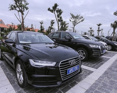 Các loại xe nào được dùng để phục vụ cho APEC 2017?