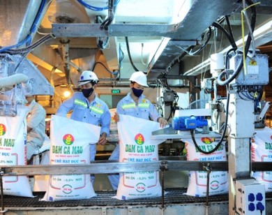 Đạm Cà Mau hoàn thành sớm chỉ tiêu sản xuất 2017