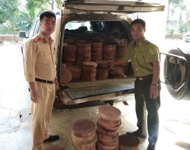Xe tải chở 500 thớt gỗ nghiến bị bắt giữ