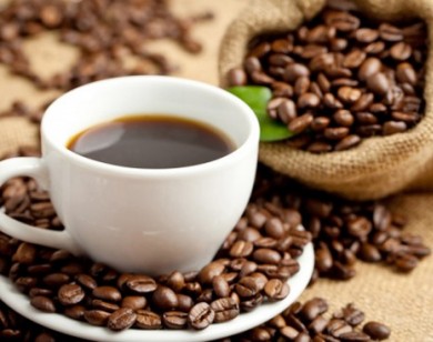 NESCAFE PLAN thực hiện mục tiêu nâng cao giá trị gia tăng cho cà phê Việt Nam