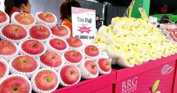 Táo siêu sạch từ vùng Aomori Nhật Bản đã có mặt tại Việt Nam