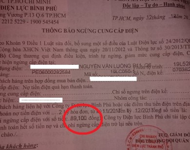 EVN TP Hồ Chí Minh: Thu phí lẻ 100 đồng... là tại Bộ Công thương?