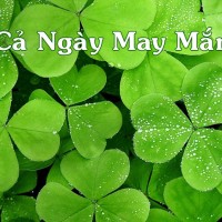 Tử vi 12 cung hoàng đạo 25/12: Hôm nay Ma Kết mất tiền