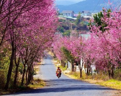 Những địa điểm du lịch hấp dẫn nhất trong Tết Dương lịch 2018