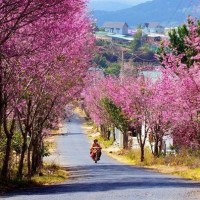 Những địa điểm du lịch hấp dẫn nhất trong Tết Dương lịch 2018