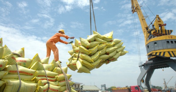 Phê duyệt phương án cổ phần hóa Tổng công ty Lương thực miền Nam (Vinafood 2)