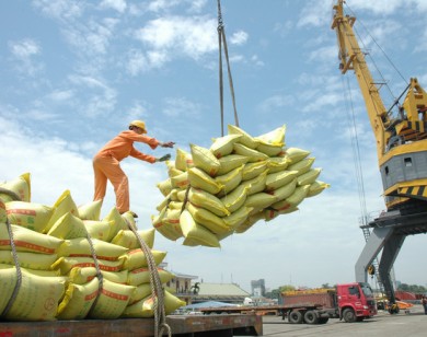 Phê duyệt phương án cổ phần hóa Tổng công ty Lương thực miền Nam (Vinafood 2)