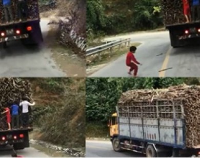 'Sốc' khi thấy nhóm trẻ em đu bám xe tải đang chạy để trộm mía