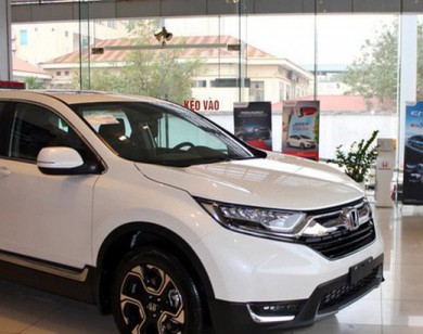 Toyota và Honda tuyên bố sẽ ngừng mọi hoạt động xuất khẩu ô tô tới Việt Nam