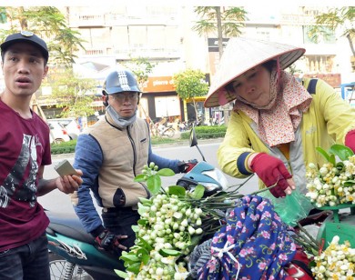 Hoa bưởi đầu mùa giá "chát" vẫn hút khách Hà Nội