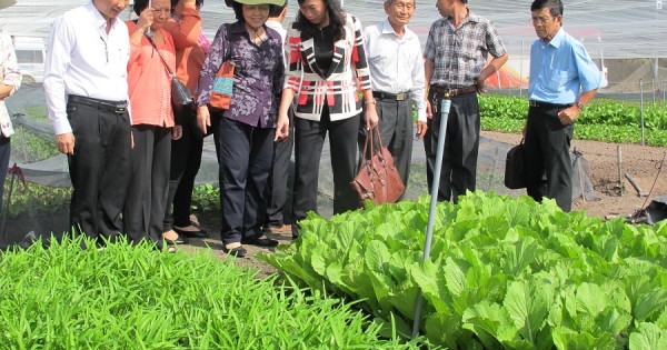 TP Hồ Chí Minh sẽ chi hơn 38 tỷ đồng đào tạo nghề cho lao động nông thôn