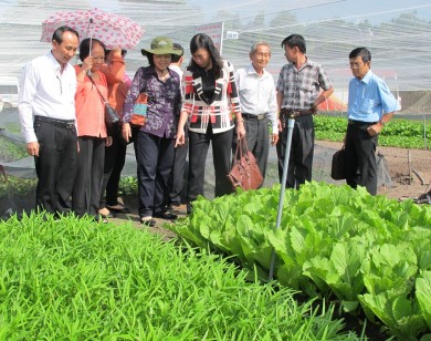 TP Hồ Chí Minh sẽ chi hơn 38 tỷ đồng đào tạo nghề cho lao động nông thôn