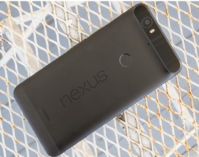 Nexus 5X và Nexus 6P sẽ không được lên đời Android P