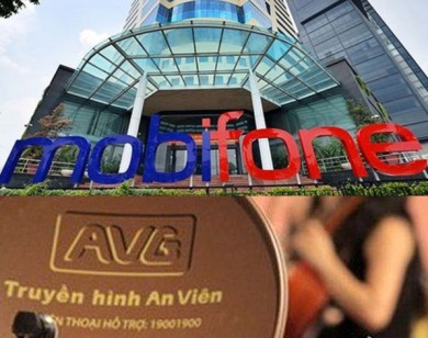 Vụ Mobifone mua AVG: Thủ tướng đồng ý với kết luận thanh tra, chuyển hồ sơ sang Bộ Công an điều tra