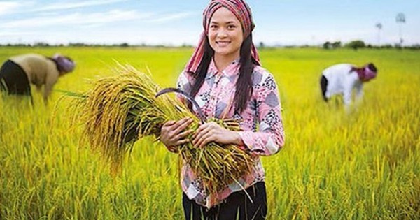 Cơ hội đầu tư nông nghiệp vào Campuchia và Myanmar 
