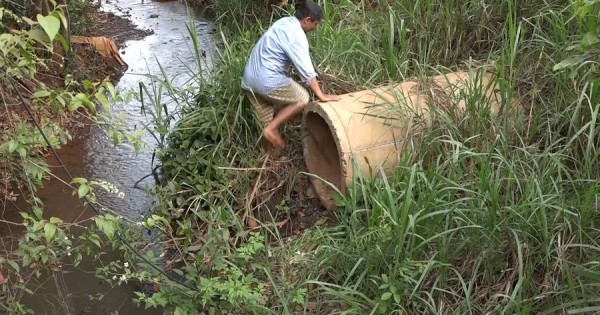 Bình Phước: Công ty Thanh Thủy chế biến mủ cao su không phép gây ô nhiễm