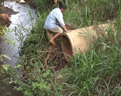 Bình Phước: Công ty Thanh Thủy chế biến mủ cao su không phép gây ô nhiễm