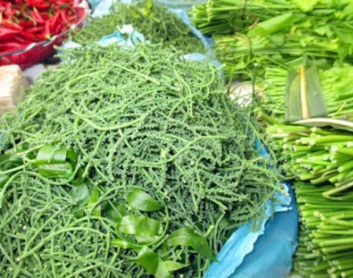 Hoa ngót rừng giá 