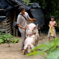 Giải thưởng 'Cánh Diều vàng': Nhiều nhà làm phim từ chối