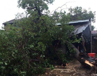 Mưa đá, lốc xoáy, khiến hàng trăm nhà bị sập đổ và 3 người bị thương tại Đắk Lắk