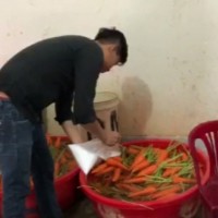 Bắt quả tang 4 cơ sở dùng hóa chất tẩy trắng 6 tấn củ cải ở Sài Gòn