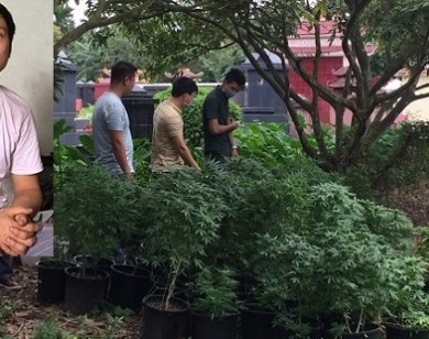 Hải Phòng: Bắt cựu sinh viên Bách Khoa trồng cần sa, truyền đạo "Hội Thánh Đức Chúa Trời Mẹ"