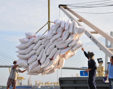 Việt Nam trúng thầu bán 120.000 tấn gạo cho Philippines