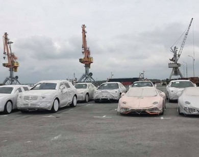 Vì sao lô siêu xe Lamborghini, Bentley phơi nắng cảng Hải Phòng gần 2 năm?