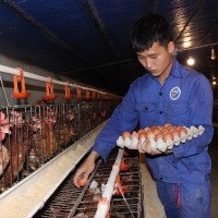 Bứt phá nhờ chuyển đổi sản xuất