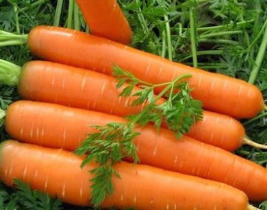 Những lưu ý khi ăn cà rốt bạn cần nhớ