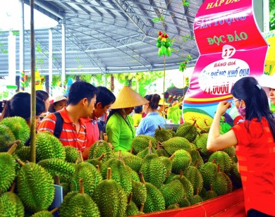 Suối Tiên tưng bừng vũ điệu hè và Lễ hội trái cây Nam Bộ lần thứ 14 