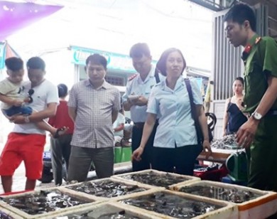 Thanh Hóa: Phát hiện 2 cơ sở bơm tạp chất độc hại vào tôm để bán cho khách du lịch