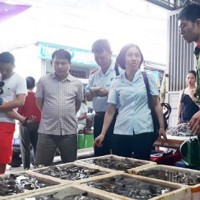 Thanh Hóa: Phát hiện 2 cơ sở bơm tạp chất độc hại vào tôm để bán cho khách du lịch