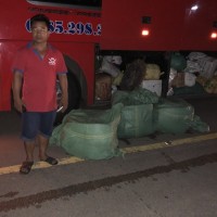 Bắt quả tang xe khách chở 345 kg thịt heo thối đi tiêu thụ