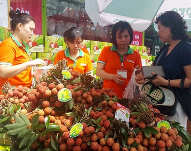 Vải thiều tăng giá