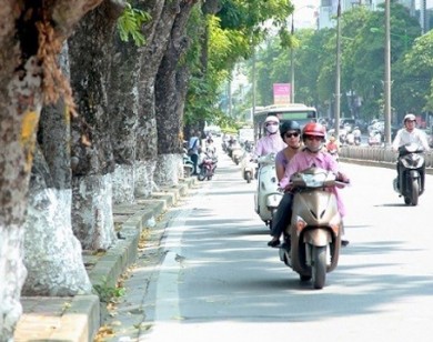 Dự báo thời tiết 27/6: Hà Nội ngày nắng, chiều và đêm có mưa dông